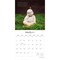 Brush Dance; Timeless Buddha | 2027 12 x 24 Inch (Hanging) Monthly Square Wall Calendar | Plastic-Free; Category:Wall Calendars; Image:4